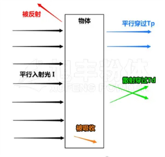 1735785456683.jpg 2.jpg